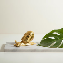 Load image into Gallery viewer, Snail Shaped Cabinet Knobs | Animal Drawer Pulls for Nursery & Kids Room Hardware