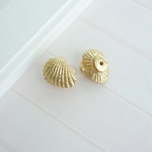 Load image into Gallery viewer, Exquisite Shell Brass Drawer Knobs & Pulls | Kitchen Cabinet Handles, Dresser & Door Knobs, Decor Furniture Hardware