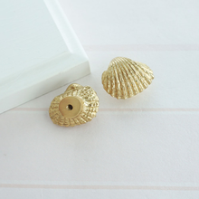 Load image into Gallery viewer, Exquisite Shell Brass Drawer Knobs & Pulls | Kitchen Cabinet Handles, Dresser & Door Knobs, Decor Furniture Hardware