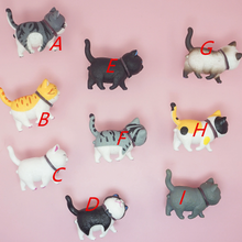 Load image into Gallery viewer, Cute Cat Knobs | Colorful Kitchen & Cabinet Handles, Drawer & Wardrobe Pulls, Modern Decorative Hardware