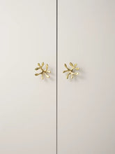 Load image into Gallery viewer, Light Luxury Creative Drawer Pulls, Brass Accent Unique Small Handles for Wardrobe and Cabinet Doors
