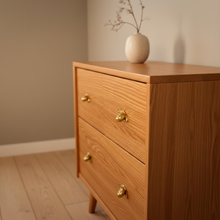 Load image into Gallery viewer, Snail Shaped Cabinet Knobs | Animal Drawer Pulls for Nursery &amp; Kids Room Hardware
