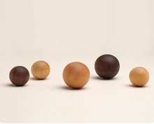 Load image into Gallery viewer, Simple Walnut,  Oak Solid Wood Knobs &amp; Pulls
