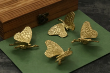 Load image into Gallery viewer, Solid Brass Gold Butterfly Cabinet Knobs &amp; Pulls | Custom Engraved Animal Drawer Handles for Kitchen &amp; Closet

