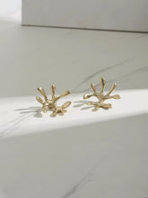 Load image into Gallery viewer, Light Luxury Creative Drawer Pulls, Brass Accent Unique Small Handles for Wardrobe and Cabinet Doors
