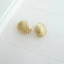 Load image into Gallery viewer, Exquisite Shell Brass Drawer Knobs | Dresser &amp; Kitchen Cabinet Pulls, Door Knobs | Decor Furniture Hardware
