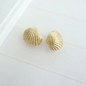 Exquisite Shell Brass Drawer Knobs | Dresser & Kitchen Cabinet Pulls, Door Knobs | Decor Furniture Hardware