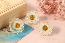 Load image into Gallery viewer, Dried Flower Resin Daisy Cabinet Knobs | Yellow White Pink Decorative Knobs
