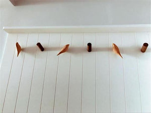 Bird Resin Wall Hooks | Coat, Key & Towel Hooks & Wall Hangers