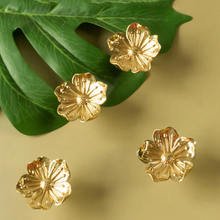 Load image into Gallery viewer, Gold Brass Flower Knobs, Pulls &amp; Handles | Drawer, Cabinet, Dresser, Kitchen Cupboard &amp; Furniture Hardware
