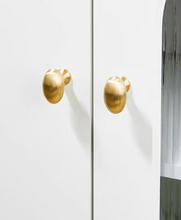 Load image into Gallery viewer, Gold Pigeon Egg Brass Knobs, French Vintage Small Handles for Cabinet, Drawer &amp; Wardrobe

