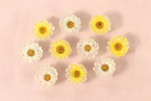 Load image into Gallery viewer, Dried Flower Resin Daisy Cabinet Knobs | Yellow White Pink Decorative Knobs
