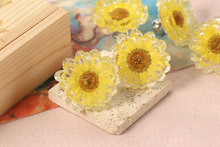 Load image into Gallery viewer, Dried Flower Resin Daisy Cabinet Knobs | Yellow White Pink Decorative Knobs
